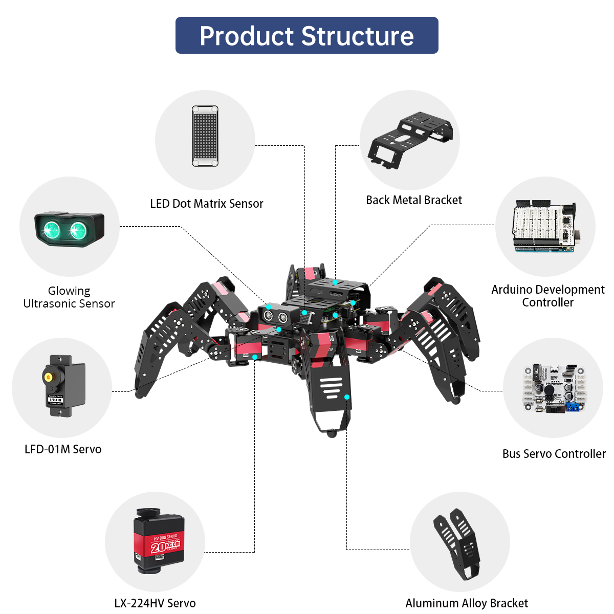 Hiwonder Spiderbot Programmabl - Robotics Kit 评论和价格