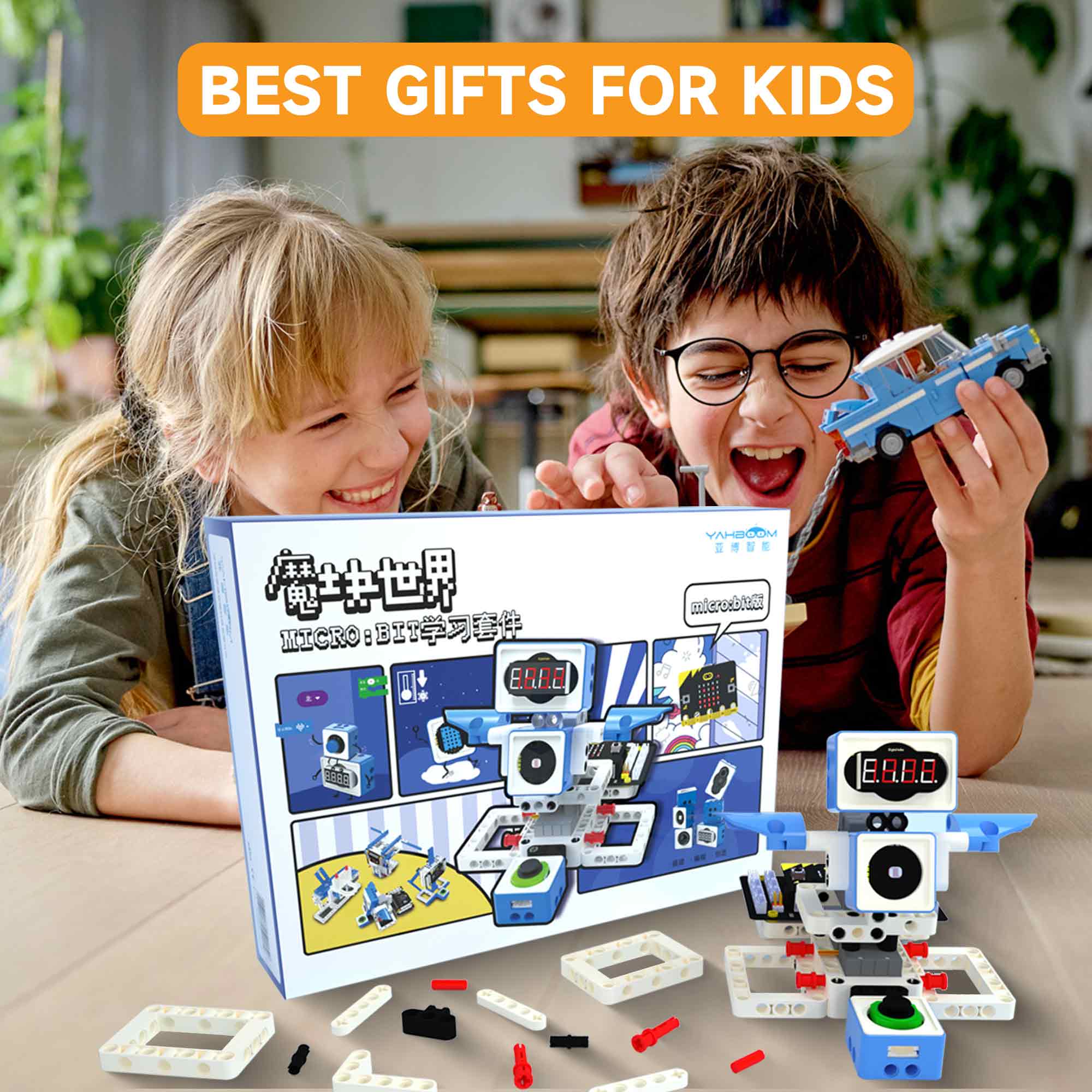 21 in 1 Microbit Robotics Kit  - Microbit Robot 评论和价格