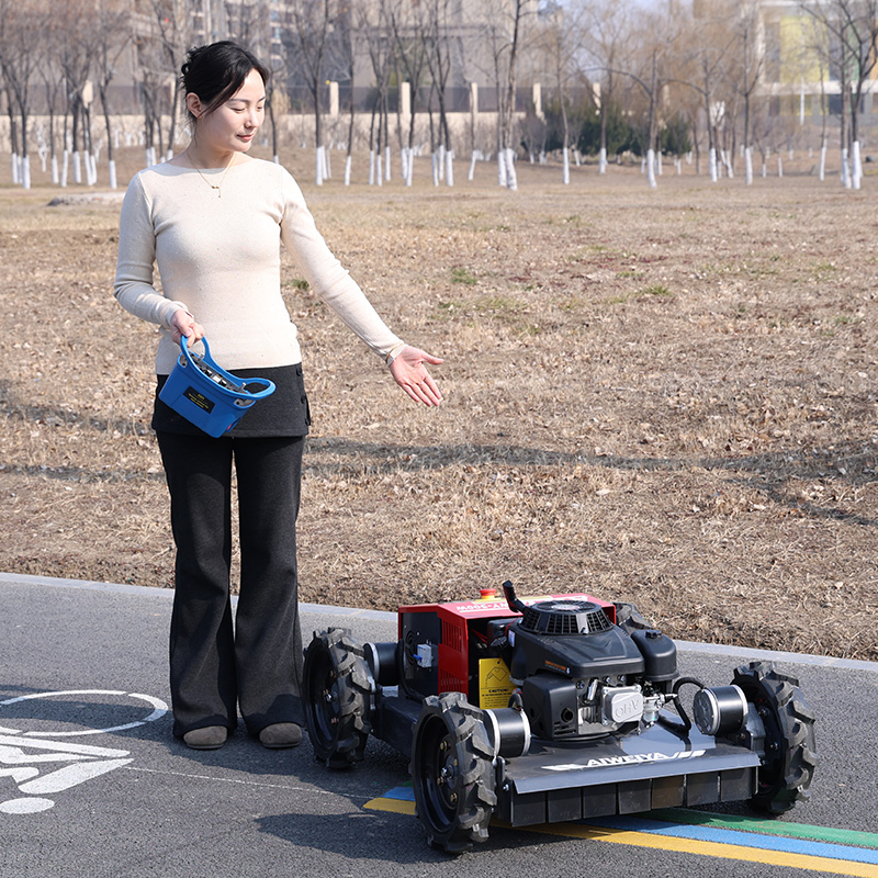 customized Remote Control Robo - Robot Wheel 评论和价格