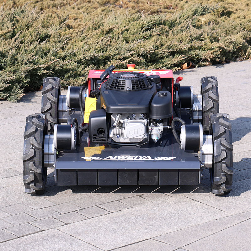customized Remote Control Robo - Robot Wheel 评论和价格